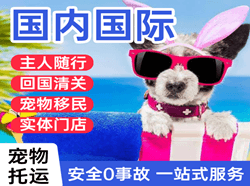 且末玉都航空托运国际宠物托运 【国